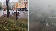Lluvias derriban puerta de cristal, un árbol y un espectacular en Ciudad Judicial, en la Juárez y en la Vía Atlixcáyotl