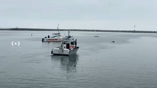 Man drowns near Marina del Rey Harbor, Los Angeles fire officials say