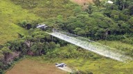 Certificación y fumigación: una semana crucial de la lucha antidrogas