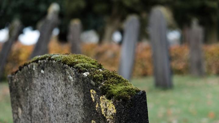 Police investigate vandalism at Ansonia cemetery