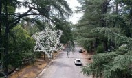 ‘To remember, reflect, and rise’: Christmas Tree Lane returning to fire