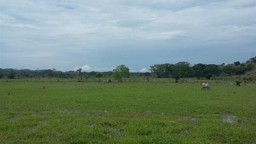 Entrega de tierras prometida en el acuerdo de paz podría tardar 400 años en completarse