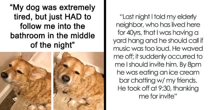 If You Are Sick Of Bad News, These 80 Heartwarming Posts Might Just Be What You Need