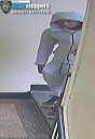 Armed robber stole food and fled in the Bronx