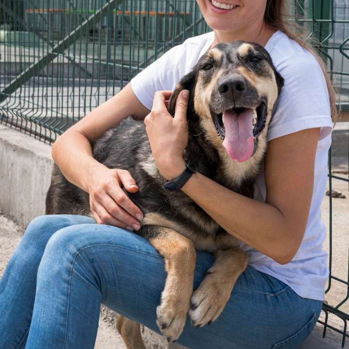 El Refugio de Animales del Condado de Pendleton ofrece adopciones gratuitas del 1 al 15 de octubre.