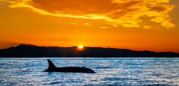 39 reasons to cheer California’s economy