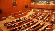 PTI senators quit all committees in protest against 'engineered system'