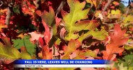 Central Washington sees warmer fall, vibrant foliage expected