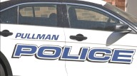 Pullman police look for early-morning shooting suspect