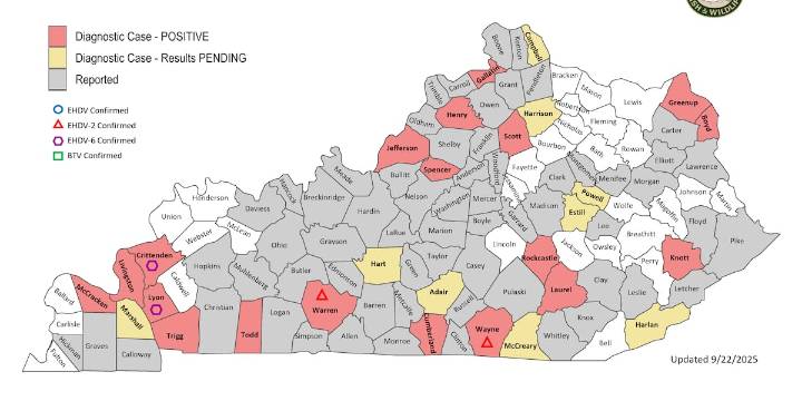 Kentucky Fish and Wildlife provide update on Hemorrhagic Disease outbreak