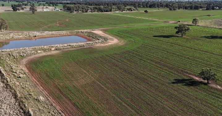 Curra Park: Prime 3740 acre mixed farming land up for auction