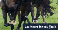 Race-by-race preview and tips for Friday’s meeting at Lismore
