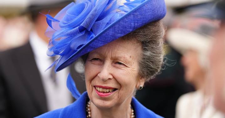 Princess Anne Makes Risqué Royal Outing to Lingerie Store