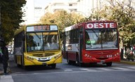El domingo en La Plata habrá micros gratis por las elecciones