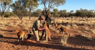 Joeys and community shine in new Aussie film 'Kangaroo'