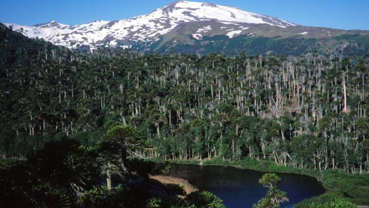 Un centro termal de excelencia: te revelamos qué actividades podés realizar en Copahue