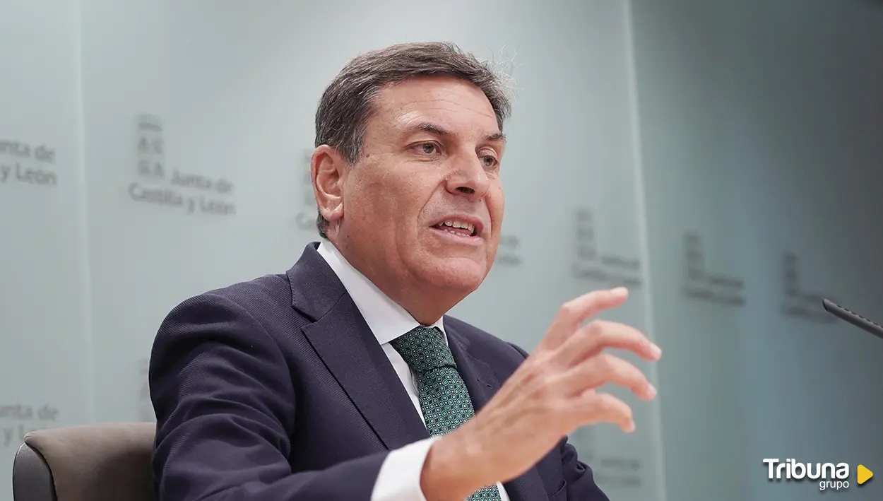 Carriedo advierte: "La quita de deuda penaliza a Castilla y León y cada ciudadano pagará 523 euros más"