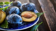Why Growing A Plum Tree From The Pit Won't Always Give The Best Results