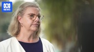 NT attorney-general accused of hiding potential conflict of interest in link to hit