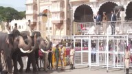 Mysuru preps for Dasara procession, seating on palace premises reduced