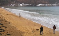 What happens in Maine during a government shutdown, from Acadia to the VA