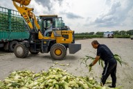 China boicotea la soya de EE.UU. en medio del caos arancelario