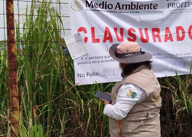 Profepa impone la clausura total definitiva y una multa de más de $18 millones al relleno sanitario “Las Matas” en Veracruz