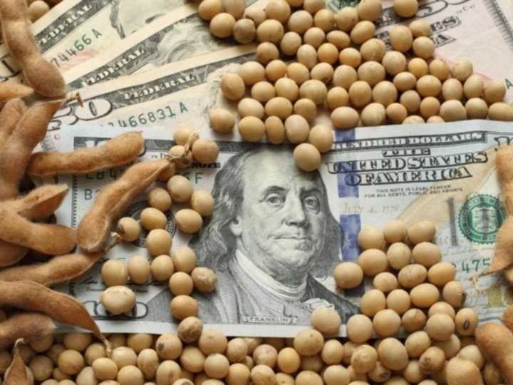 Los dólares del campo traerían alivio al Gobierno en plena tensión cambiaria: cuántos ingresarían antes de fin de año