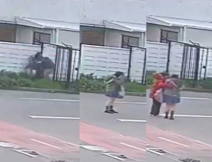 Video muestra repudiable abuso sexual a escolar en plena vía pública de Chiguayante