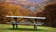 Fall leaves could peak early in 2025. When to see fall colors in Indiana