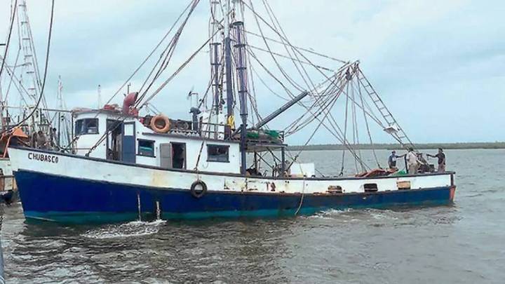 Productores auguran mala temporada de camarón en Sinaloa