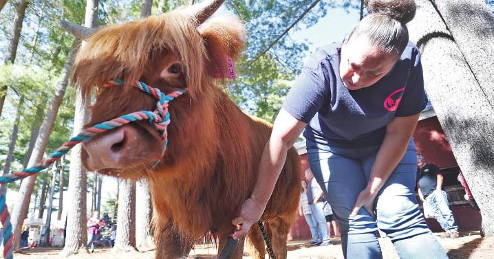 Fair play: Long-running Deerfield Fair returns