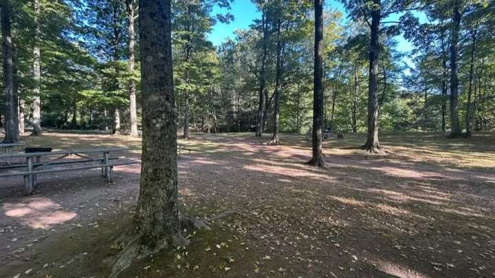 Dry end to summer has fire officials warning of brush fire dangers heading into fall