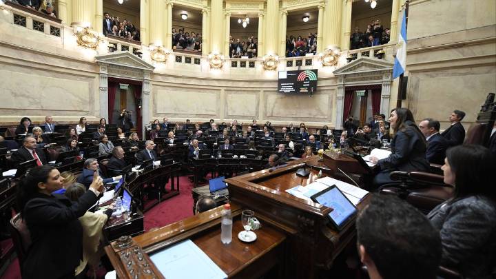 El Gobierno se encamina a otra derrota: el Senado rechazará el veto a la emergencia en discapacidad