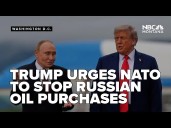 Trump urges NATO to stop Russian oil purchases, threatens 50% to 100% tariffs on China