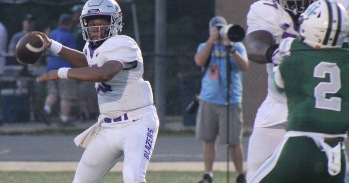 Dutch Fork holds off Ridge View
