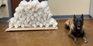 Mesquite police discover $530K worth of crystal meth in drug bust, man arrested