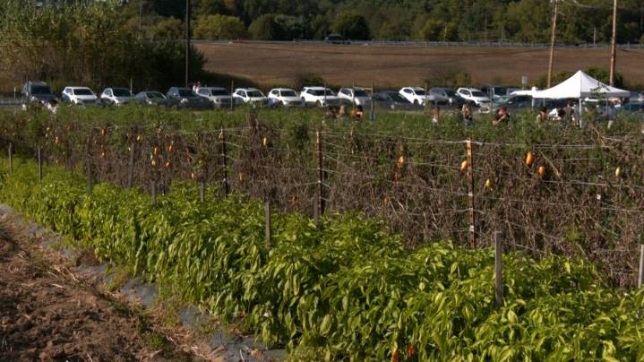 Penn State Harvest Fest returns for its tenth year, looks to expand