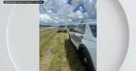 2 Miami men, 2 hunting dogs killed by apparent lightning strike in Central Florida, sheriff says