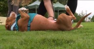 Henrico Humane Society's Bark in the Park is Saturday, Sept. 13 at Crump Park