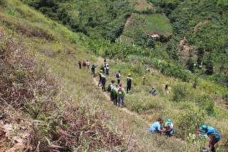Este fin de semana: Gran Misión Madre Tierra reforesta más de 135 hectáreas