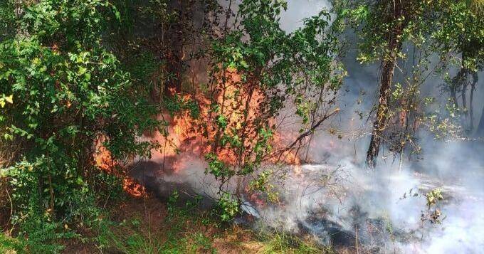 Newton firefighters were busy Thursday dealing with multiple grass and brush fires