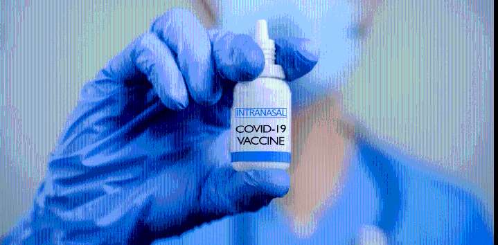 Vacuna intranasal crearía blindaje contra el Covid