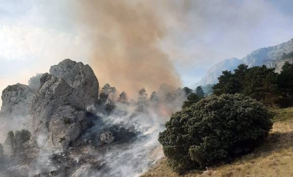 Celadores de Riaño reparten alimento a la fauna afectada por el incendio de Barniedo