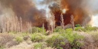 Un incendio en La Rioja consumió 14 hectáreas e investigan si fue provocado: hay tres detenidos