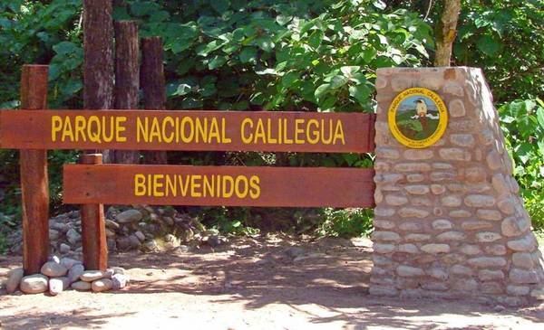 Parque Nacional Calilegua: Greenpeace logró una condena clave