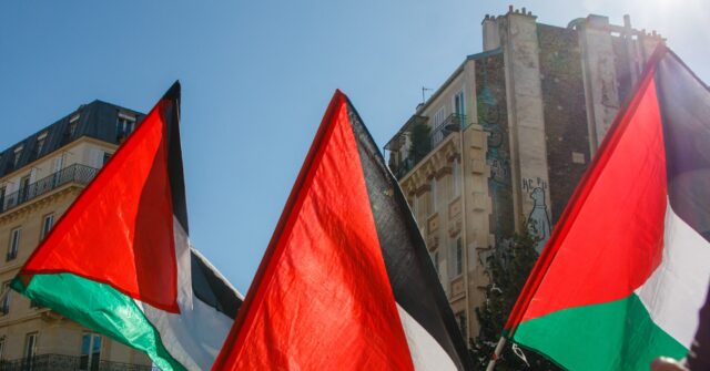 Leftist French Mayors Fly Palestinian Flags Outside Town Halls