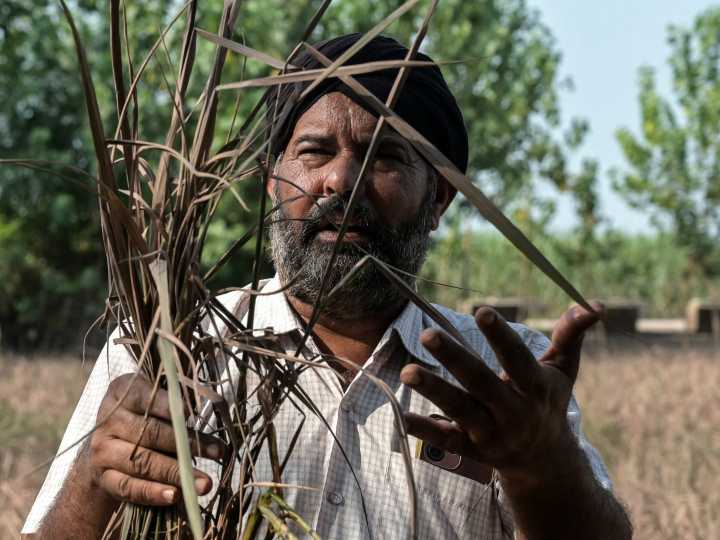Photos: Floods devastate India’s breadbasket of Punjab