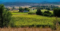 Farming in the city has its challenges
