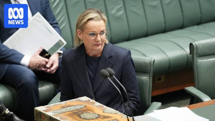 Ley writes to Republicans vowing to revoke Palestine recognition ahead of Albanese's UN address